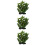 3 Peças Planta Aquática Artificial Plástico Para 8