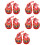 5 Paar Baby Schuhe Gehschuhe Gestickte Tiger 7