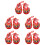5 Paar Baby Schuhe Gehschuhe Gestickte Tiger 6