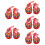 5 Paar Baby Schuhe Gehschuhe Gestickte Tiger 10