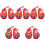5 Paar Baby Schuhe Gehschuhe Gestickte Tiger 3