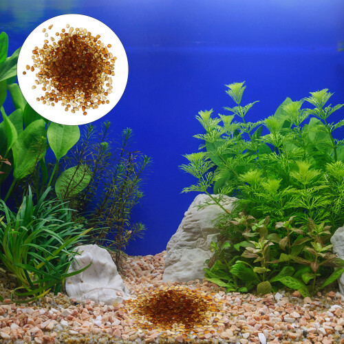 1 Packung Mit 500G Steine Für Aquarium 2