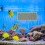 8 Unidades Malla Para Acuario 8