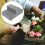4Pcs Bloques Espuma Para Flores Seca Y Húmeda Gris 8