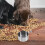 Aliment Animal Distributeur Antidérapant 5