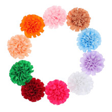 30Ud Decoración Floral Para De Mascotas Con Estilo