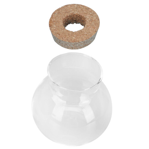 2Stk. Micro Landscape Terrarium Für Hydroponische Pflanzen 1