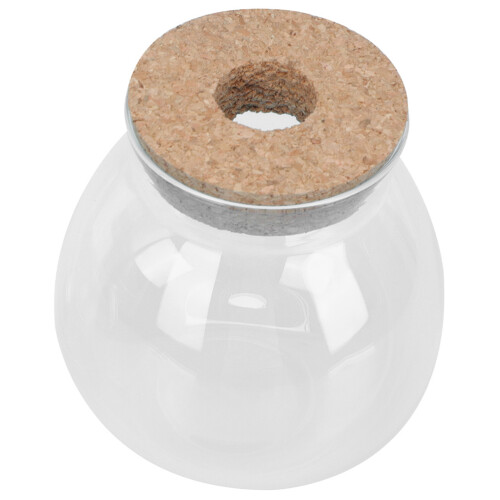 2Stk. Micro Landscape Terrarium Für Hydroponische Pflanzen 2