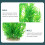 Vis Tank Nepplant Plastic Decoratie Levende Uiterlijk 11