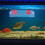 Fish Feeder For Aquarium Tank With Suction Cup And Feeding Ring 4