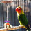 1 Pc Bell Log Standing Board Parrot Training Bite Toy Perch 10