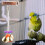 1 Pc Bell Log Standing Board Parrot Training Bite Toy Perch 8