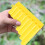 2 Pièces De Pan Portable 8 Mini Instrument Pour Enfants 6