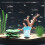 2Stk Glow In The Dark Seeanemone Für Aquarium 6