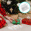 20 Macaron Verpackungsbox Mit 10