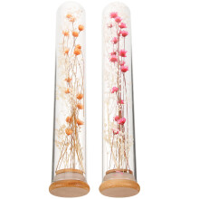 8 Pcs Dried Bouquet in Glass Bottle Preserved Real Flowers