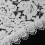 Bride Sluier Vrouwen Bruids Kant Haaraccessoire Kort Wit 7