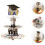 3 Sets Abschluss Cupcake Stand 3 Papier Halterung 5