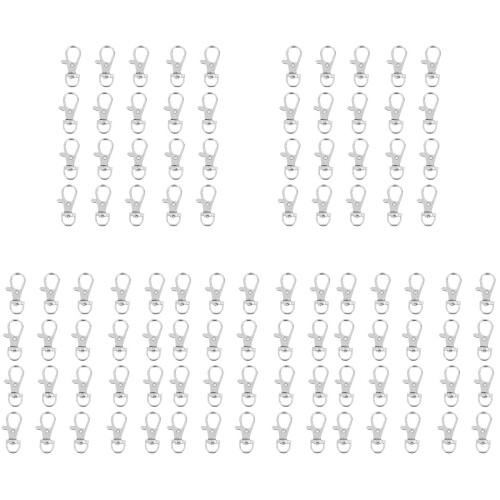 200 Haushaltskäfigverschlüsse Mit Schlüsselbandclips 1