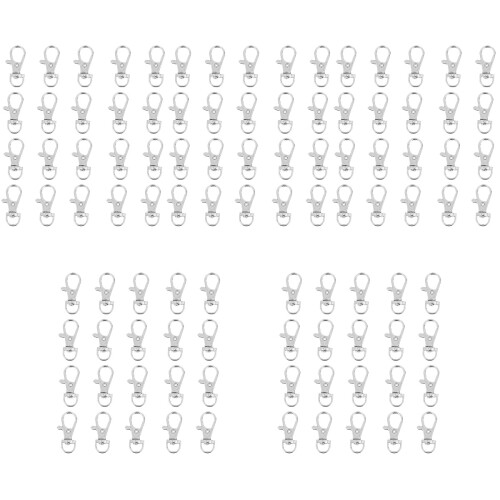 200 Haushaltskäfigverschlüsse Mit Schlüsselbandclips 2