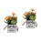 2Stk Künstliche Künstliche Bonsai- Wohnaccessoire 6