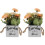 2Stk Künstliche Künstliche Bonsai- Wohnaccessoire 4