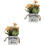 2Stk Künstliche Künstliche Bonsai- Wohnaccessoire 5