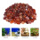 1 Lot De 500 G Décoratives Pour Aquarium, Galets 5