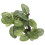 3Pcs Green Aquarium Plants Decorations Realistic Plastic Fish Tank 11