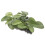 3Pcs Green Aquarium Plants Decorations Realistic Plastic Fish Tank 10