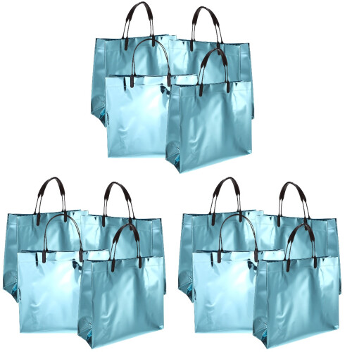 12 Glänzende Wiederverwendbare Einkaufs- Geschenktaschen 1