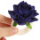 8 Accessoires 11