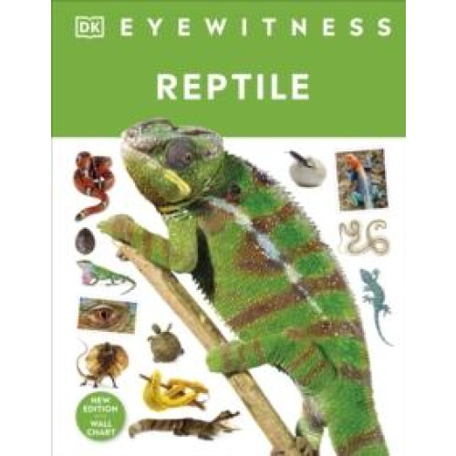 Reptile by Colin McCarthy Hardcover Book