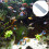 De 8D Para Acuario, Y Filtración 2