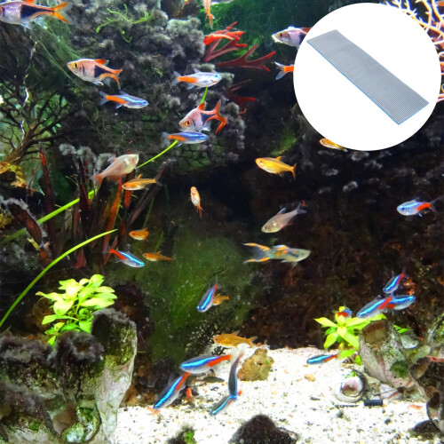 De 8D Para Acuario, Y Filtración 1