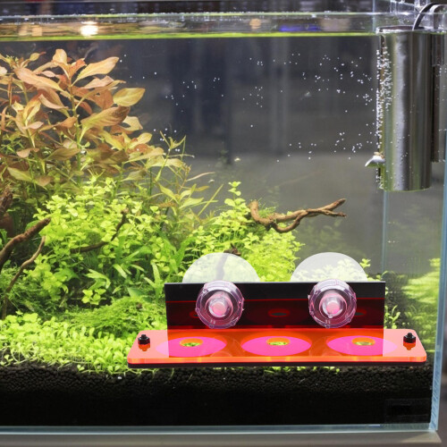 Base De Coral Acrílica Roja Para En De Peces 2