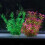 2 Unidades Simuladas Grama Artificial 11