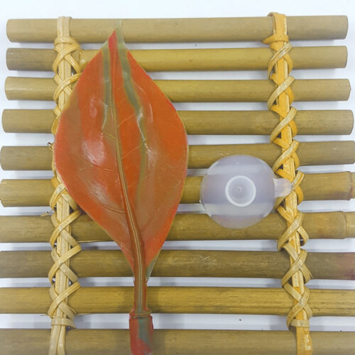 Com Artificial Planta Aquática Decoração 2