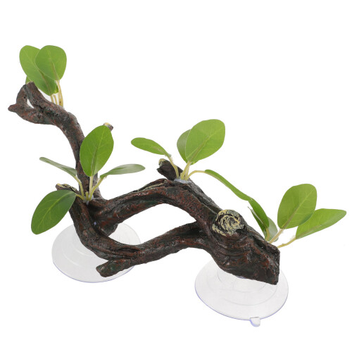 2Pcs Artificial Para Terrário E Com Ventosa 1