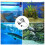Submersível Para 5W Com 4 Led E Plugue UE, Preto 3