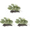 3Pcs Para Simulação Planta De 4