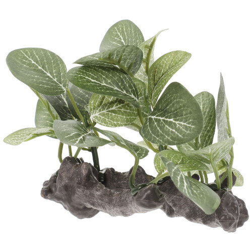 3Pcs Para Simulação Planta De 2