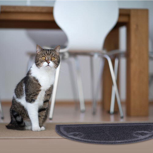 Semi-Circulaire En PVC Pour Litière De Chat Couleur Aléatoire 2