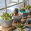 3 Pièces De Polies Pots Pour Plantes Décoratives 3