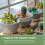 3 Pièces De Polies Pots Pour Plantes Décoratives 7