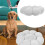 Cat Bed Mat Imbottito Per E 5