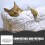 Cat Bed Mat Imbottito Per E 8