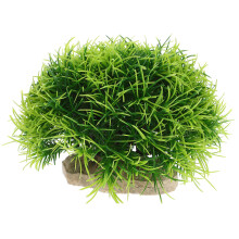 Fish Tank Plant Decorations, Piante Per ,