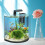 Fish Tank Plant Decorations, Piante Per , 4