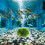 Fish Tank Plant Decorations, Piante Per , 11